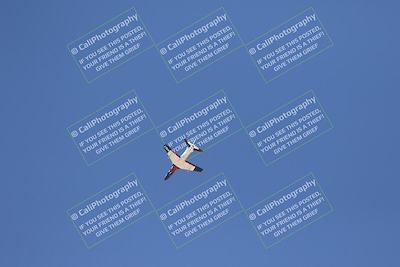 media/Oct-25-2025-Race Pace (Sat) [[47cce5476f]]/Fastest Verified/